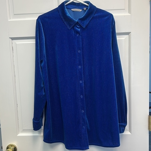 LUX SOFT SURROUNDINGS BLUE VELVET Thin Metallic Stripes Long Sleeve Shirt - Picture 2 of 11
